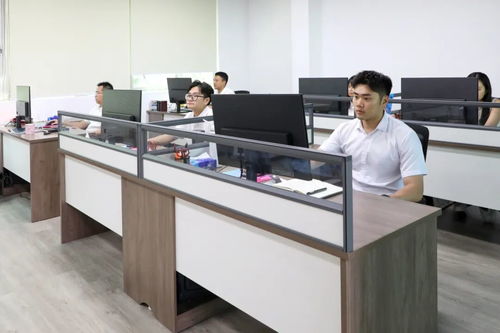 謝崗文旅發(fā)展正式揭牌，商業(yè)綜合體管理服務(wù)助力區(qū)域發(fā)展加速鍵